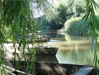Percurso Pedestre da Pateira ao Águeda
