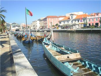 Moliceiro tours in the Ria de Aveiro