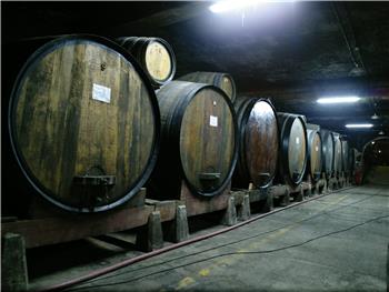 Aliança - "A Velha Amiga de todos os dias"