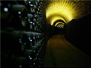 "Ser Enólogo por um dia"