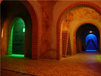 Guided tour to the Adega de Cantanhede