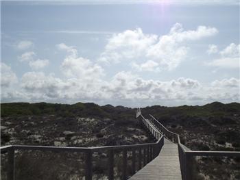 Reserva Natural das Dunas de São Jacinto