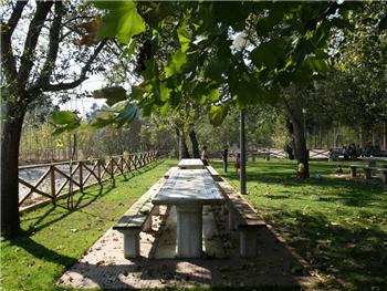 Parque da Ponte de Vagos