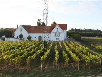 Estação Vitivinícola ? Viticulture Centre