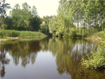 Lagôa do Paúl de Ancas 