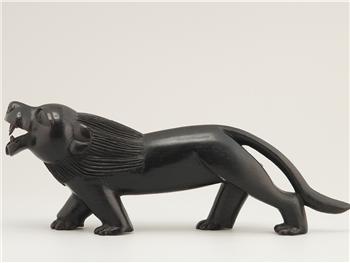 Museu Antropológico (Anthropological Museum)