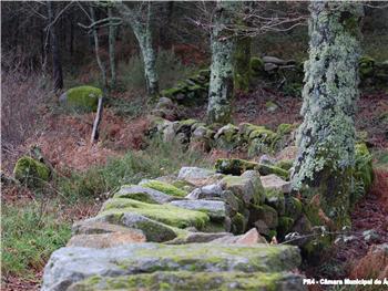 Trillo Terras de Granito
