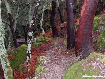 Trilho das Terras de Granito