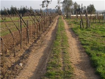 Trilho da Ponte de Ferro